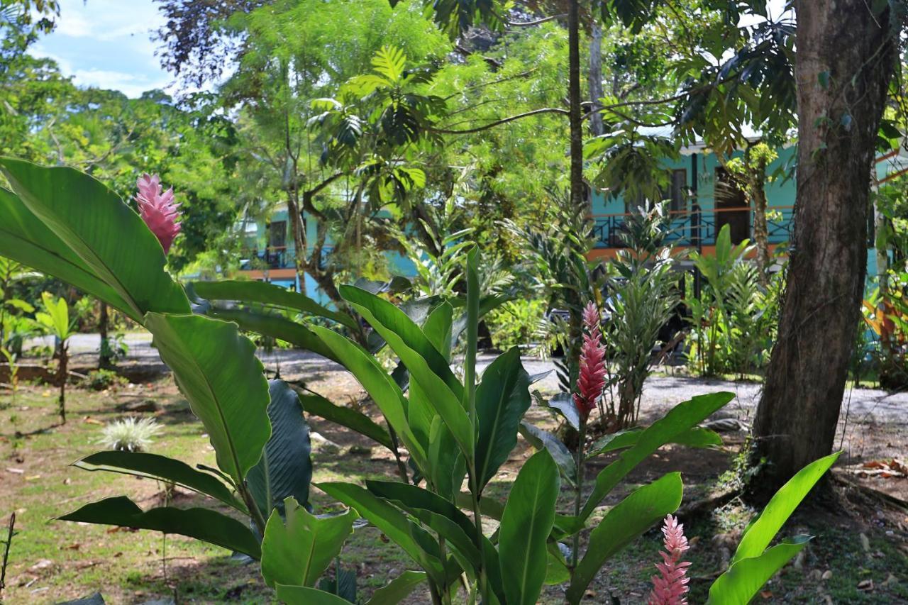 Manzanillo Caribbean Resort Puerto Viejo de Talamanca Екстериор снимка